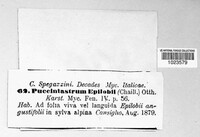 Image Associated With the Occurence